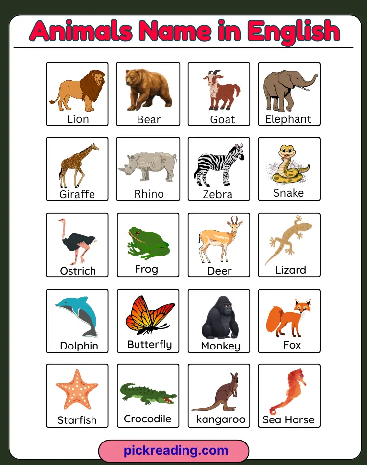 Animals Name in English