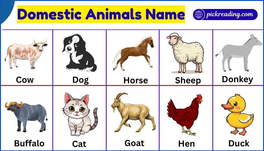 Domestic Animals Name in English
