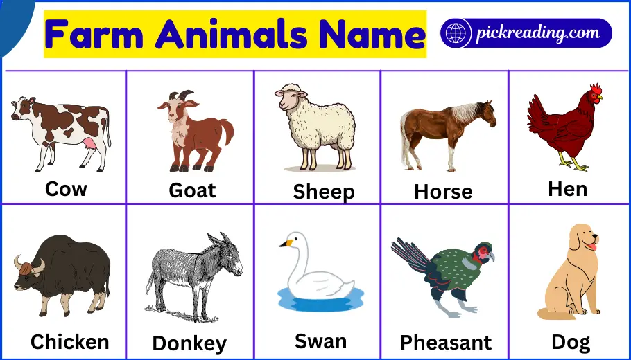 Farm Animals Name in English