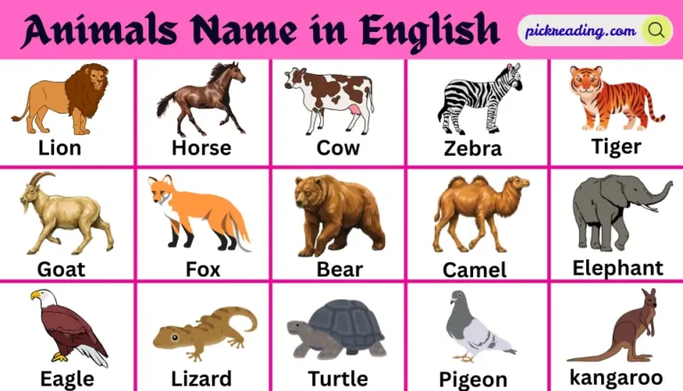 Animals Name