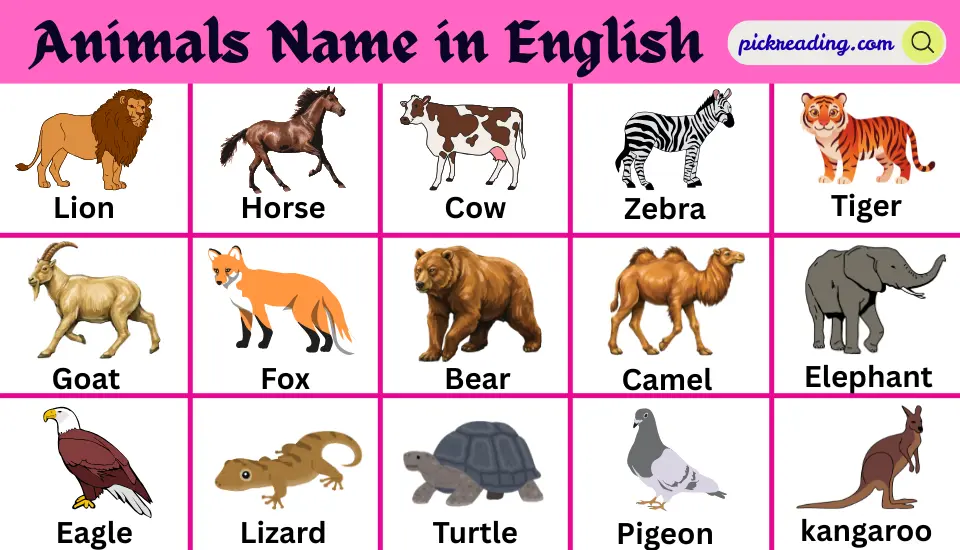 Animals Name