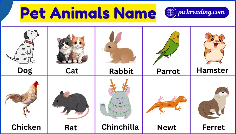Pet Animals Name in English