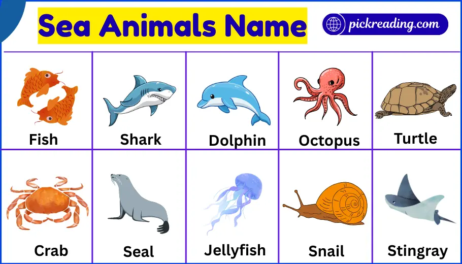 Sea Animals Name in English