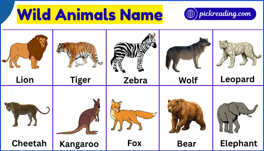Wild Animals Name in English